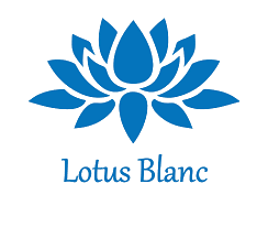 Lotus Blanc
